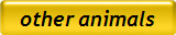other animals